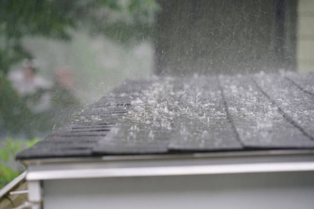 Best Storm Damage Roof Repair  in Fayette, MO